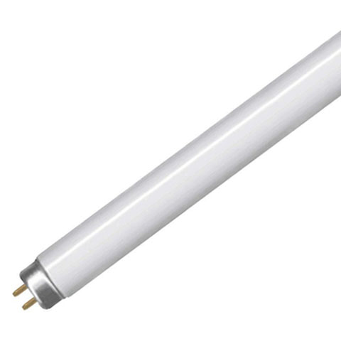 fluorescent lamp